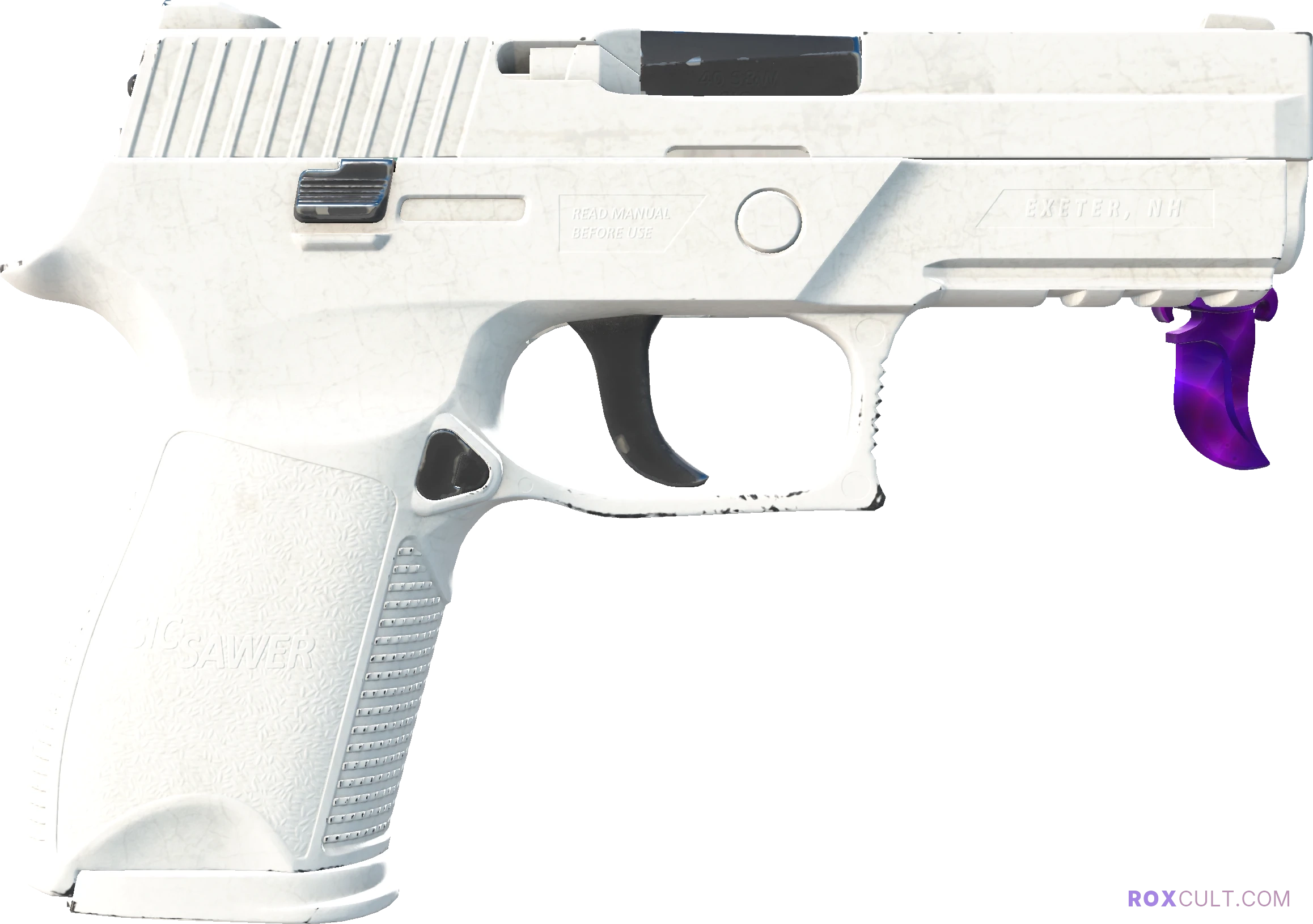 P250 | Whiteout (Factory New) — rox (Holo) Antwerp 2022 craft, backside view